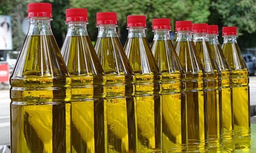 Indonesia’s ban on palm oil exports shocks global edible oil market